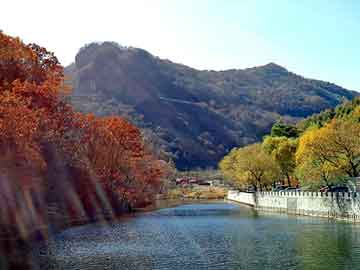 新澳天天开奖资料大全旅游团，钢丝条刷